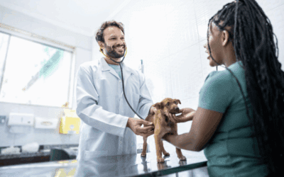 8 Harmful Myths About Neuter & Spay Services That Delay Care